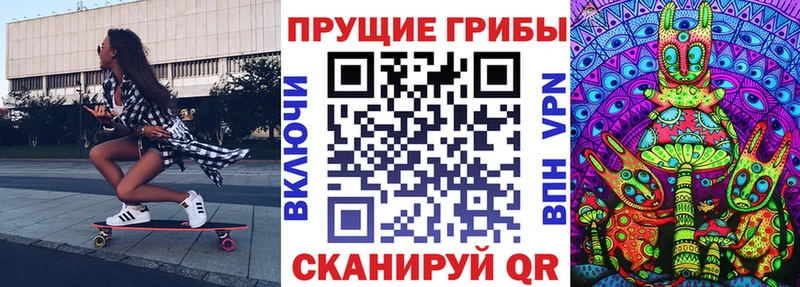 Псилоцибиновые грибы Psilocybe  гидра tor  Талица 